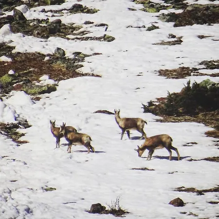 4/6 Pers 38m2, Vue Montagne, Piscine Chauffee, 500m Centre Cauterets