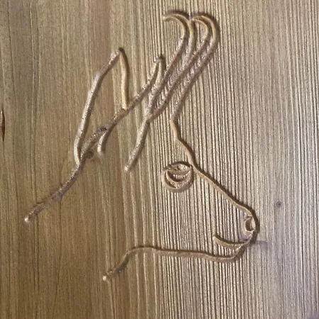 4/6 Pers 38m2, Vue Montagne, Piscine Chauffee, 500m Centre Apartment Cauterets