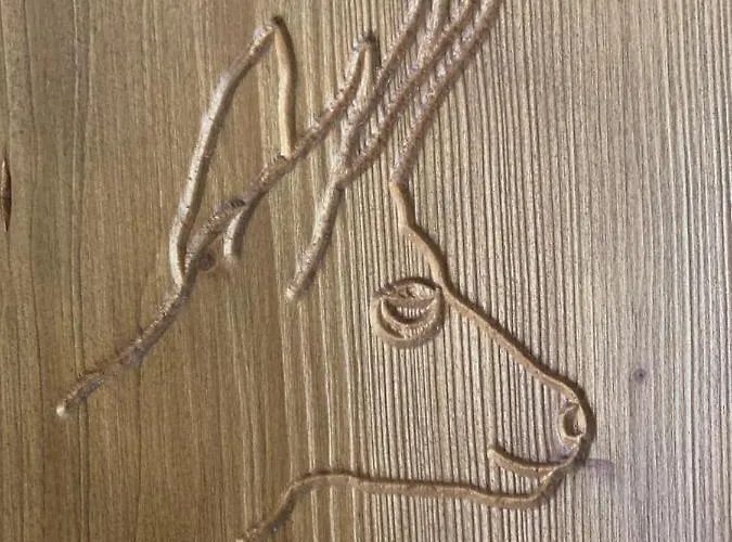 4/6 Pers 38m2, Vue Montagne, Piscine Chauffee, 500m Centre Apartament Cauterets